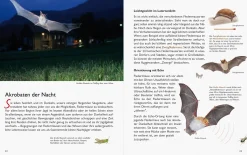Garten & Natur|Ratgeber * Wawra Verlag Unserer Natur auf der Spur