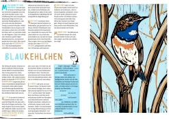 Garten & Natur|Kinderbücher * Thienemann-Esslinger Verlag Unser wildes Zuhause
