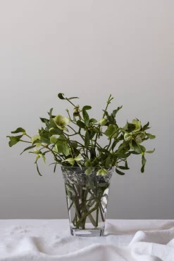 Vasen & Schalen * Bergs Potter Vase Københavner