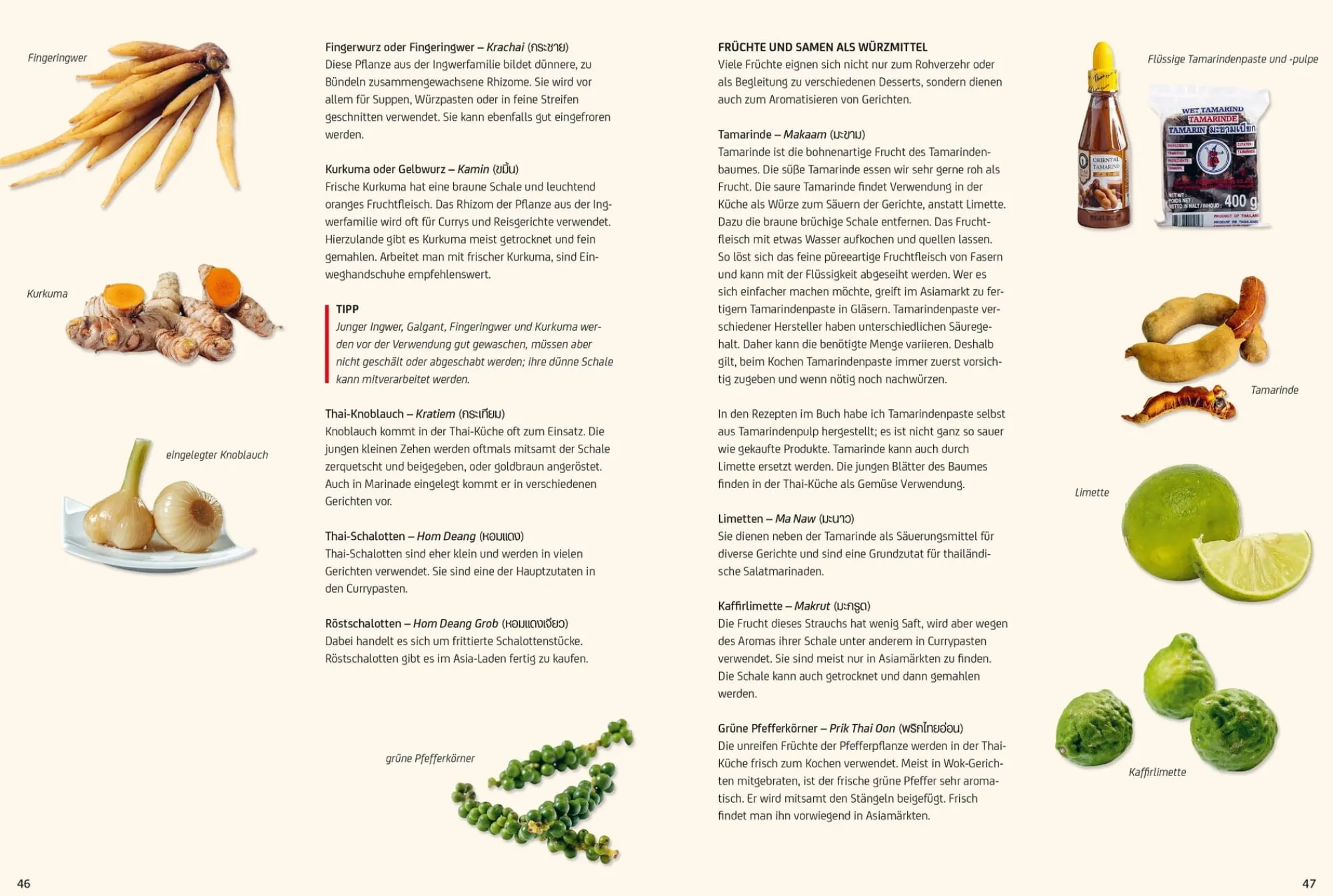 Kochen & Backen|Ratgeber * Christian Verlag Vegan Thai