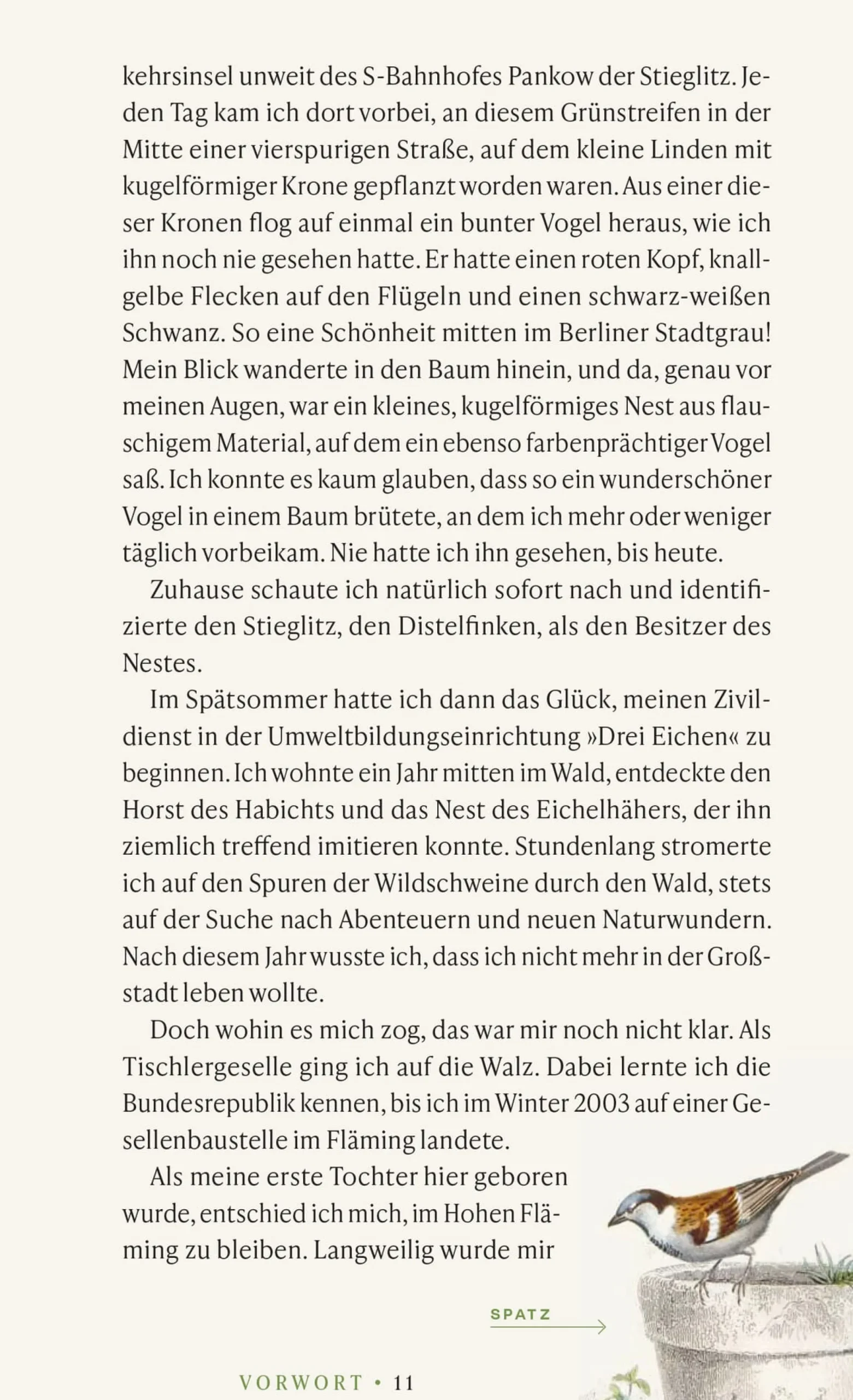Garten & Natur|Ratgeber * Jan Thorbecke Verlag Vögel verstehen