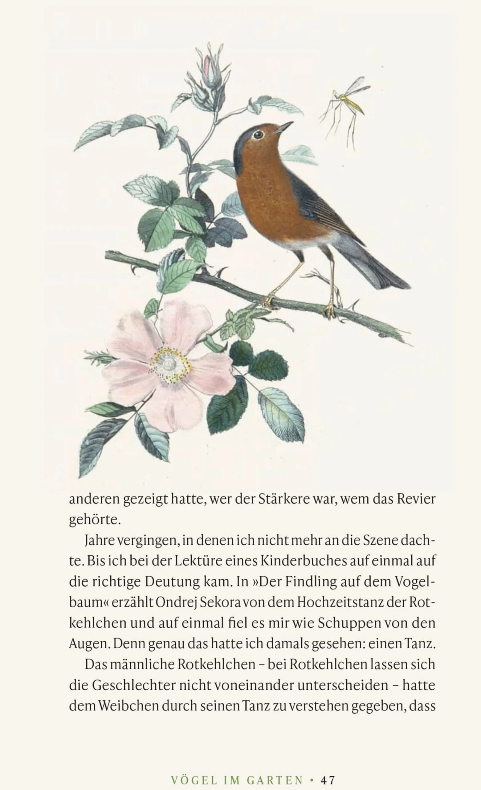 Garten & Natur|Ratgeber * Jan Thorbecke Verlag Vögel verstehen