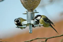 Nist- & Futterplätze * Vogelfutterspender Sodabird