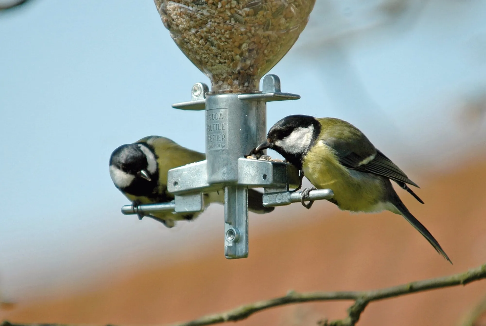 Nist- & Futterplätze * Vogelfutterspender Sodabird