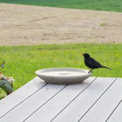 Nist- & Futterplätze * Denk Keramische Werkstätten Vogeltränke Granitkeramik