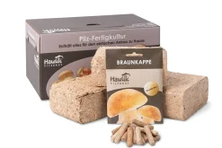 Gemüsesamen * Hawlik Pilzbrut Waldpilzbrut 'Braunkappe'