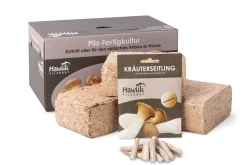 Gemüsesamen * Hawlik Pilzbrut Waldpilzbrut 'Kräuterseitling'
