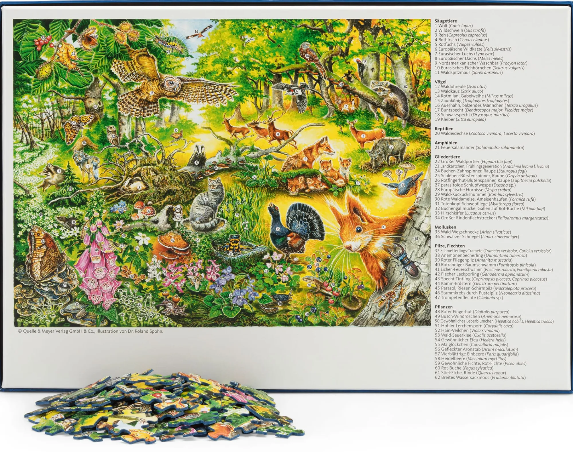 Geduldspiele|Gesellschaftsspiele * Quelle & Meyer Verlag Wald Wimmel Puzzle 500 Teile