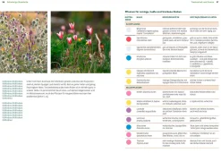 Garten & Natur|Ratgeber * Ulmer Verlag Wächst nicht gibt's nicht