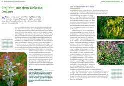 Garten & Natur|Ratgeber * Ulmer Verlag Wächst nicht gibt's nicht
