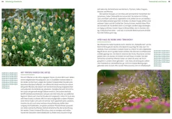 Garten & Natur|Ratgeber * Ulmer Verlag Wächst nicht gibt's nicht