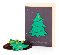 Papeterie|Blumensamen * Die Stadtgärtner Weihnachtskarten mit Wildblumensamen