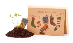 Papeterie|Blumensamen * Die Stadtgärtner Weihnachtskarten mit Wildblumensamen