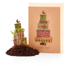 Papeterie|Blumensamen * Die Stadtgärtner Weihnachtskarten mit Wildblumensamen