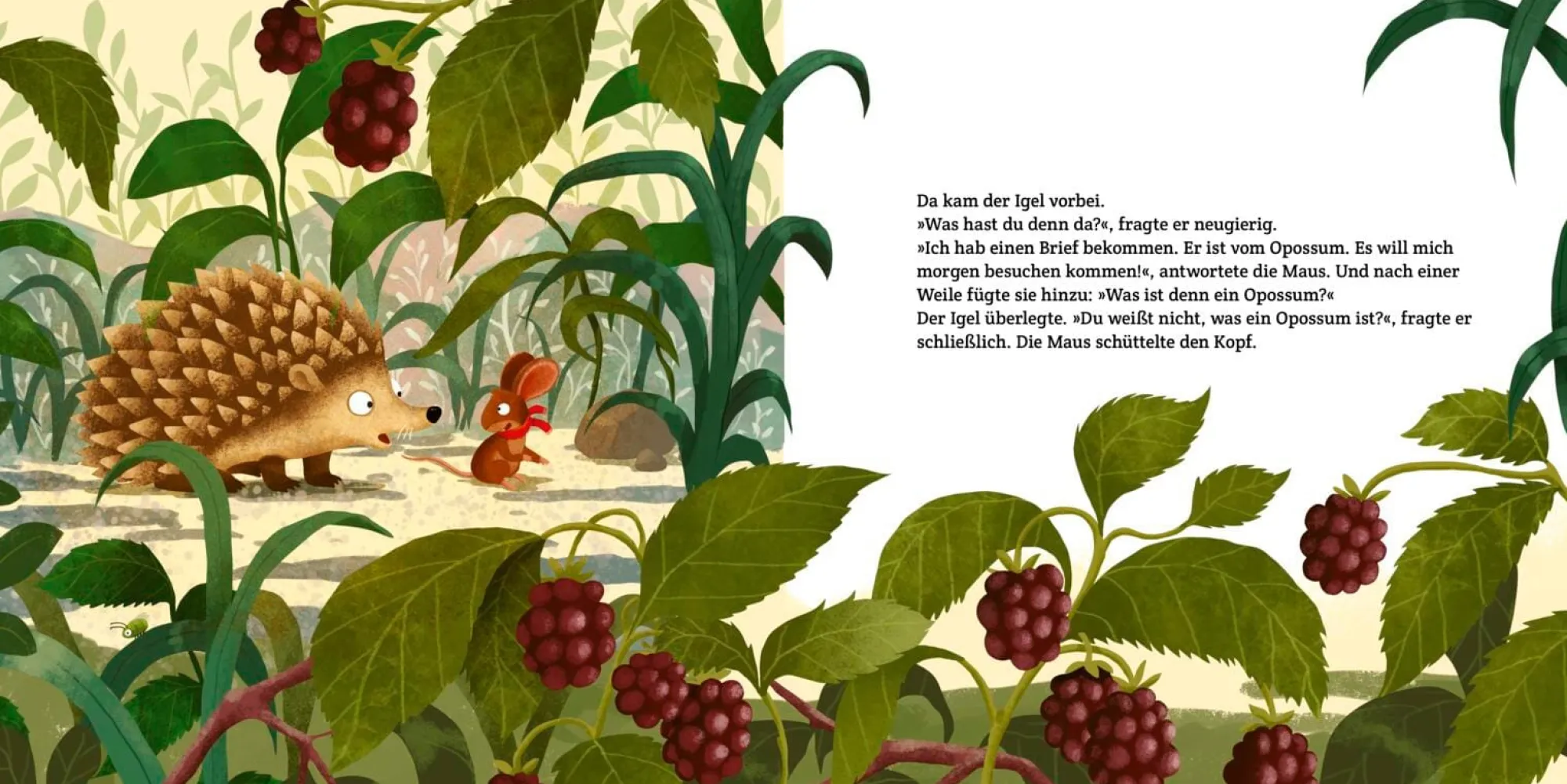 Kinderbücher|Kinderbücher * Thienemann-Esslinger Verlag Weißt du, was ein Opossum ist?
