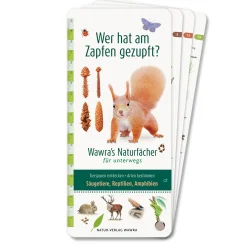 Kinderbücher|Sachbücher * Wawra Verlag Wer hat am Zapfen gezupft?