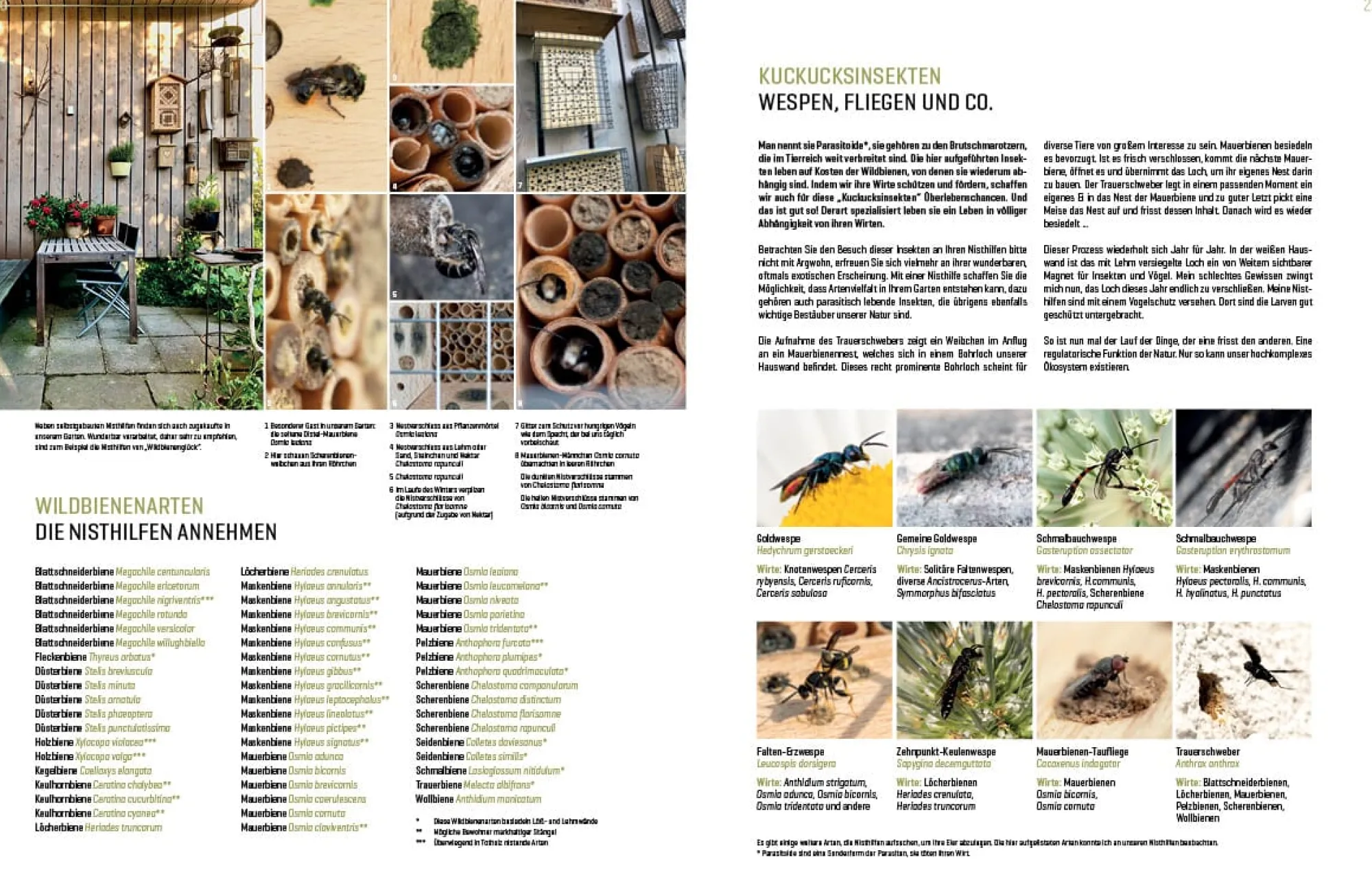 Garten & Natur|Ratgeber * eder-roemer Verlag Wildbienenhelfer