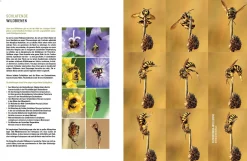 Garten & Natur|Ratgeber * eder-roemer Verlag Wildbienenhelfer