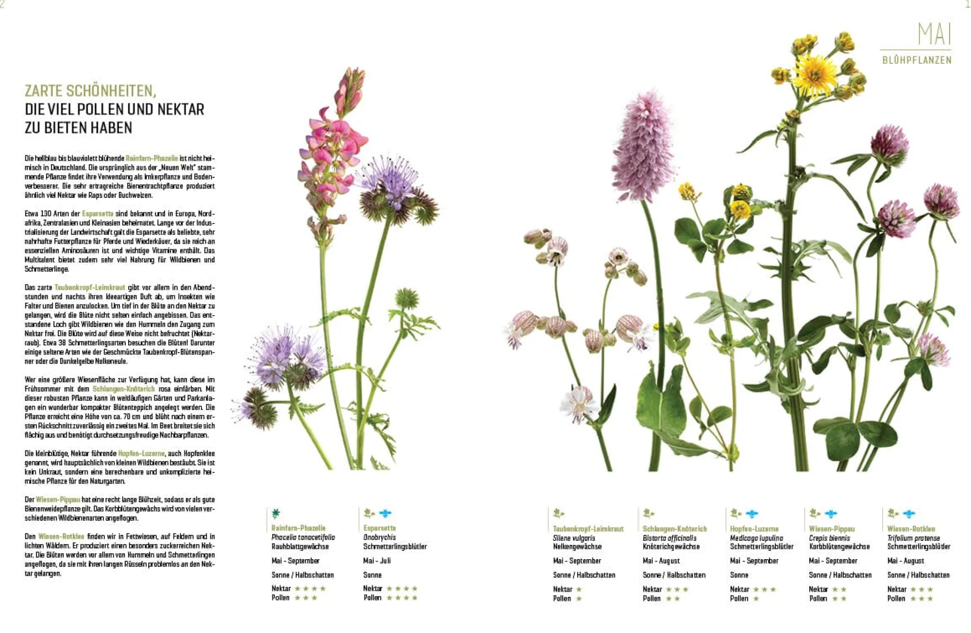 Garten & Natur|Ratgeber * eder-roemer Verlag Wildbienenhelfer
