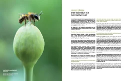 Garten & Natur|Ratgeber * eder-roemer Verlag Wildbienenhelfer