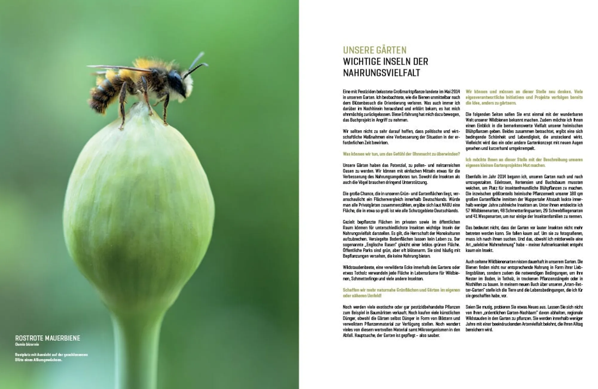 Garten & Natur|Ratgeber * eder-roemer Verlag Wildbienenhelfer