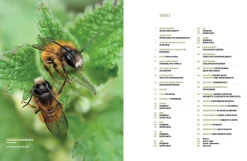 Garten & Natur|Ratgeber * eder-roemer Verlag Wildbienenhelfer