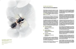 Garten & Natur|Ratgeber * eder-roemer Verlag Wildbienenhelfer