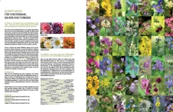 Garten & Natur|Ratgeber * eder-roemer Verlag Wildbienenhelfer