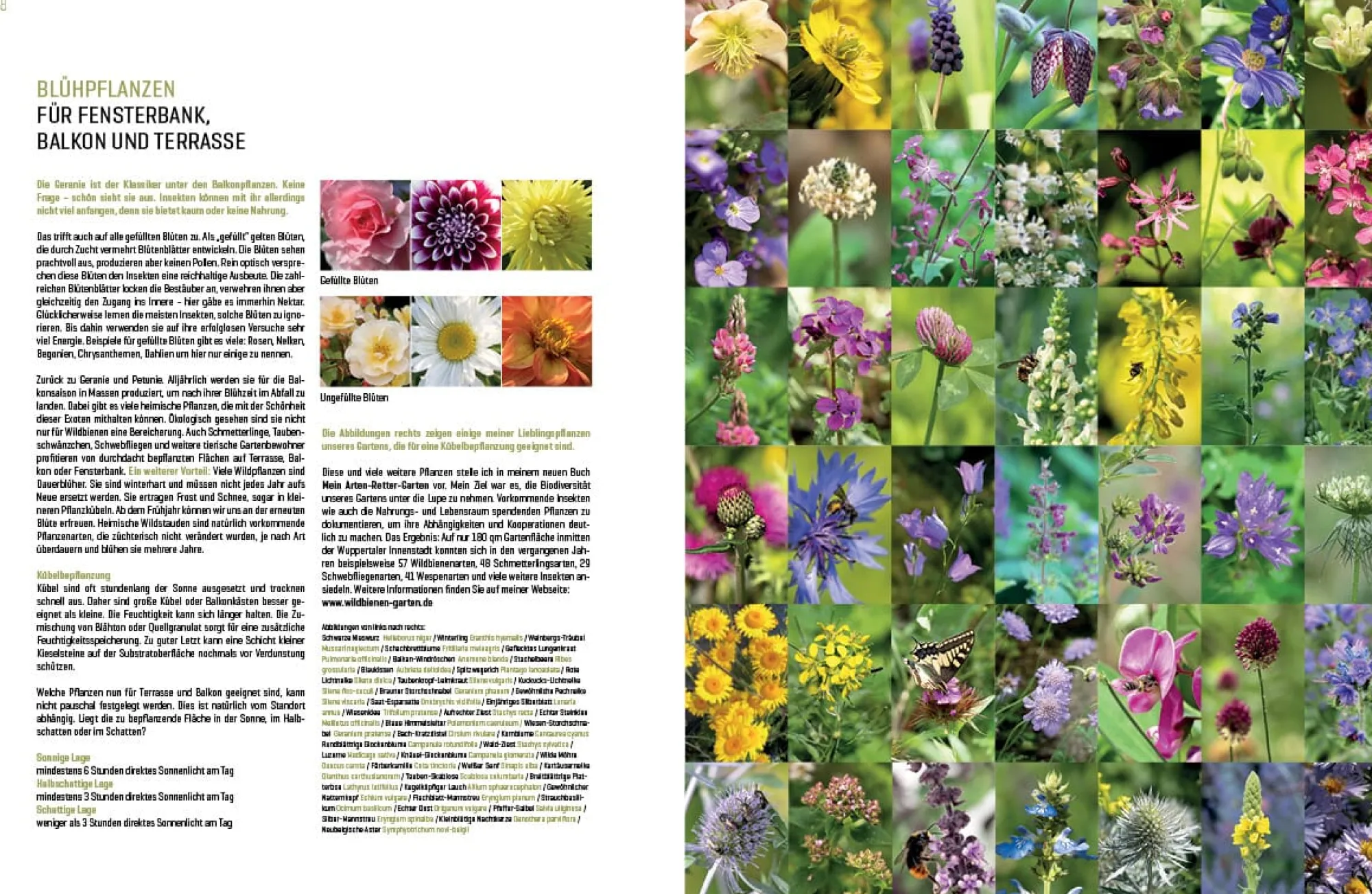 Garten & Natur|Ratgeber * eder-roemer Verlag Wildbienenhelfer