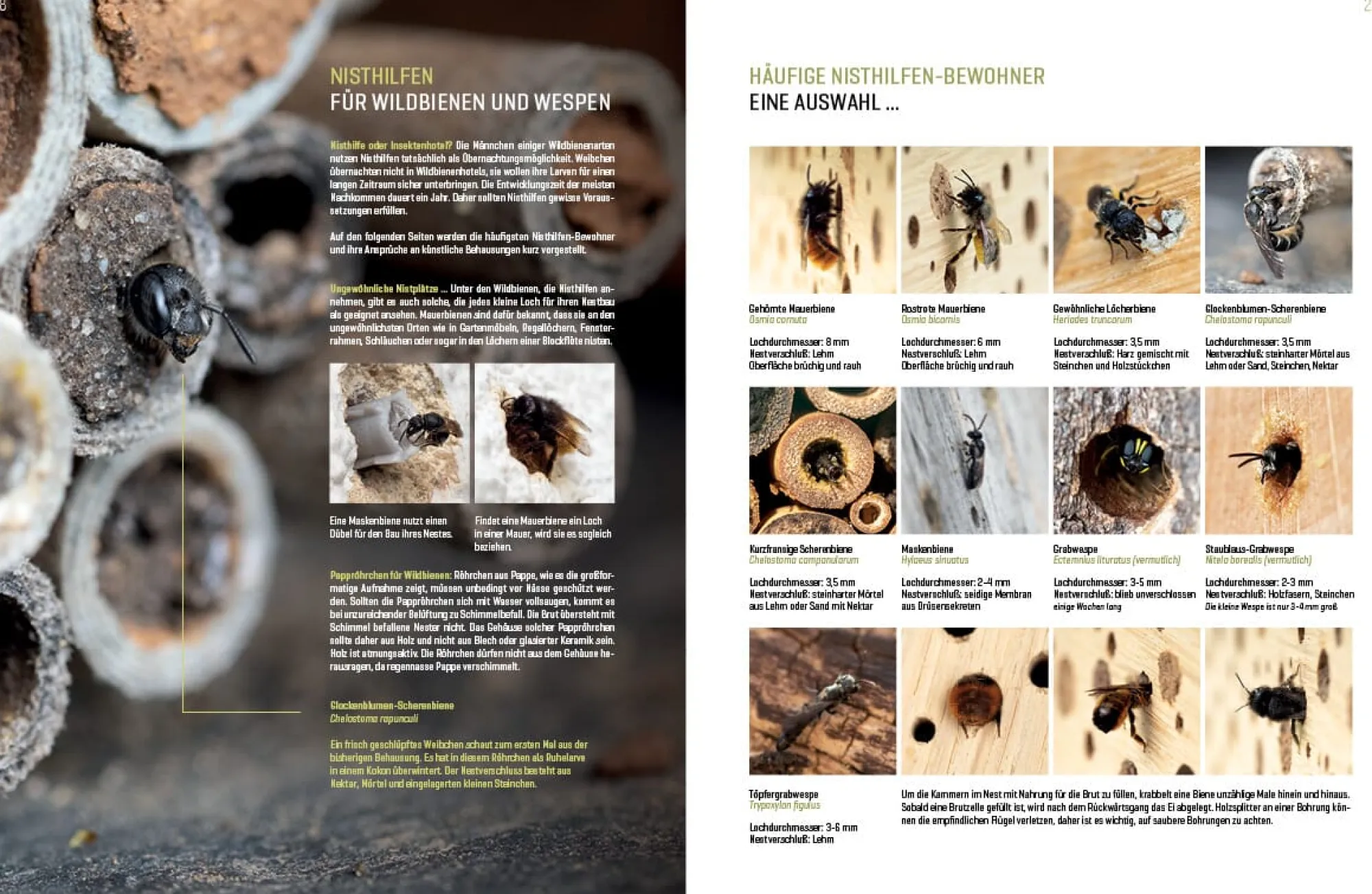 Garten & Natur|Ratgeber * eder-roemer Verlag Wildbienenhelfer