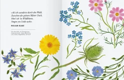 Garten & Natur|Ratgeber * Gerstenberg Verlag Wildblumen pflanzen - Nektarreiche Blüten für hübsche Nützlinge