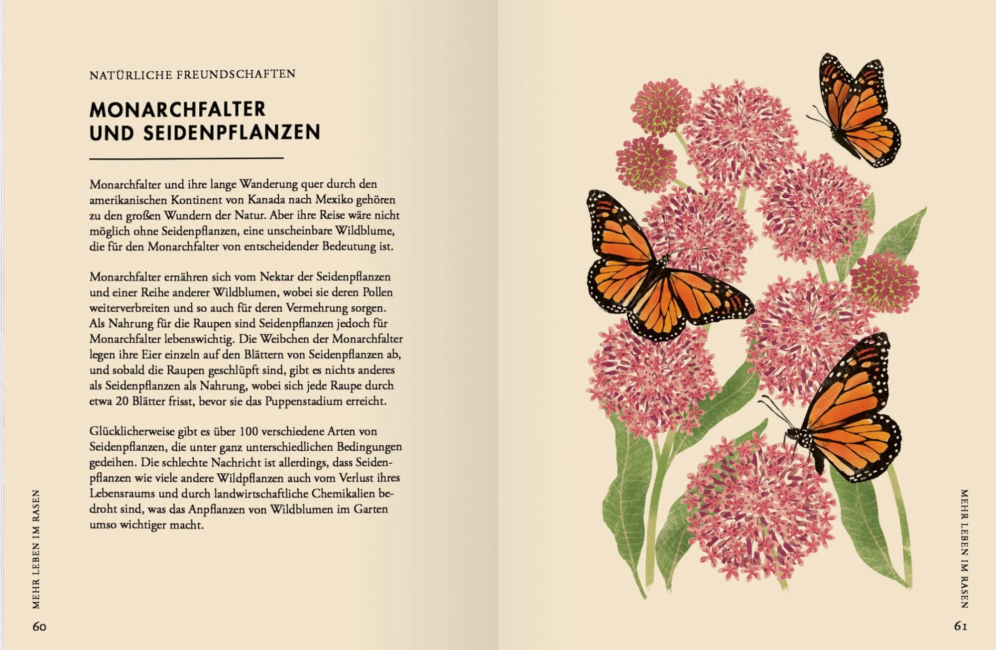 Garten & Natur|Ratgeber * Gerstenberg Verlag Wildblumen pflanzen - Nektarreiche Blüten für hübsche Nützlinge