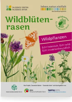 Blumensamen * Tausende Gärten – Tausende Arten Wildblumenrasen gebietsheimisch
