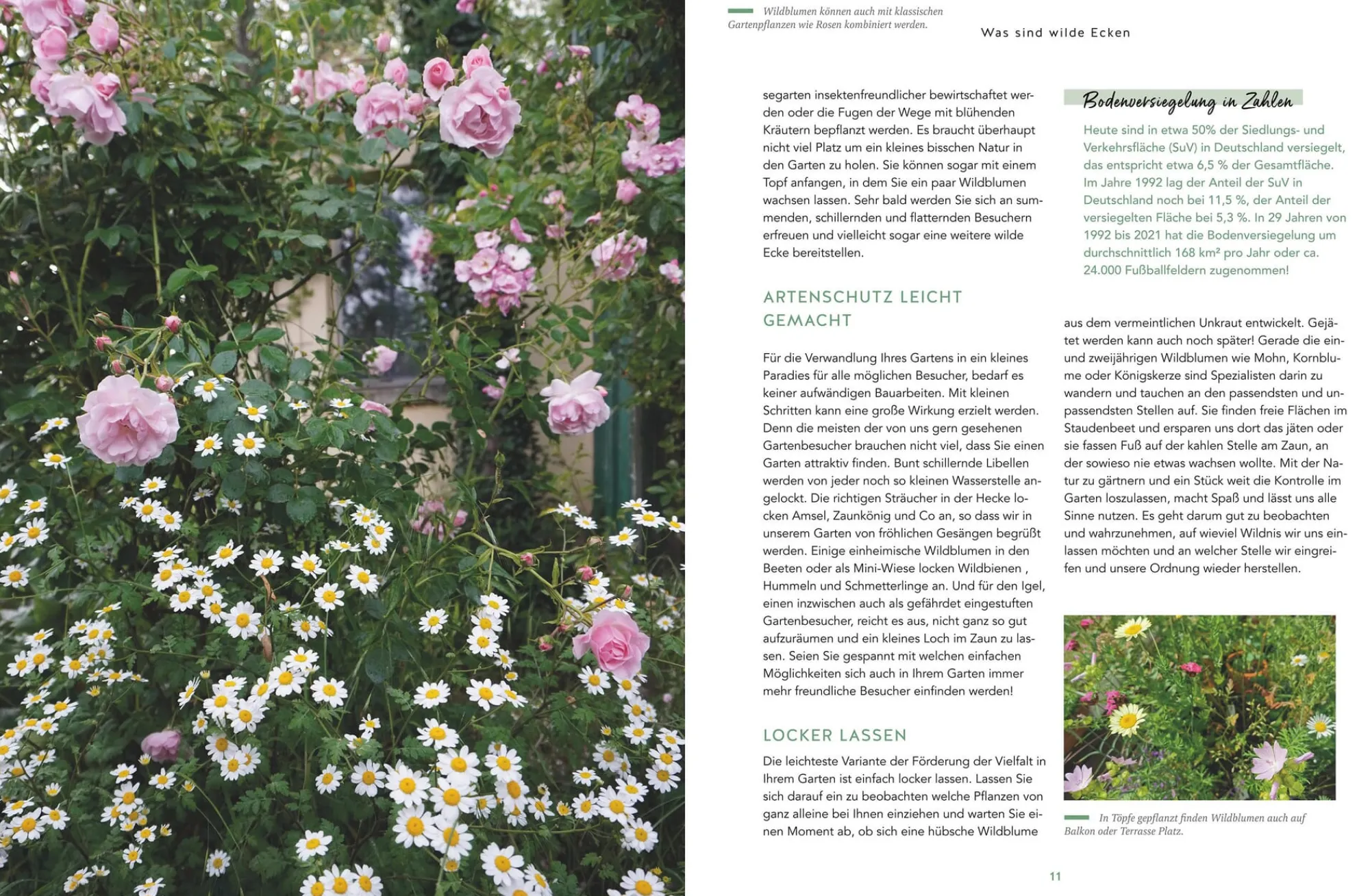 Garten & Natur|Ratgeber * Gräfe und Unzer Verlag Wilde Ecken für jeden Garten