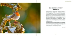 Garten & Natur|Ratgeber * Ulmer Verlag Wilde Ecken und Totholz im Garten