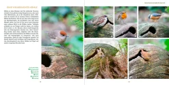 Garten & Natur|Ratgeber * Ulmer Verlag Wilde Ecken und Totholz im Garten