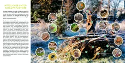 Garten & Natur|Ratgeber * Ulmer Verlag Wilde Ecken und Totholz im Garten