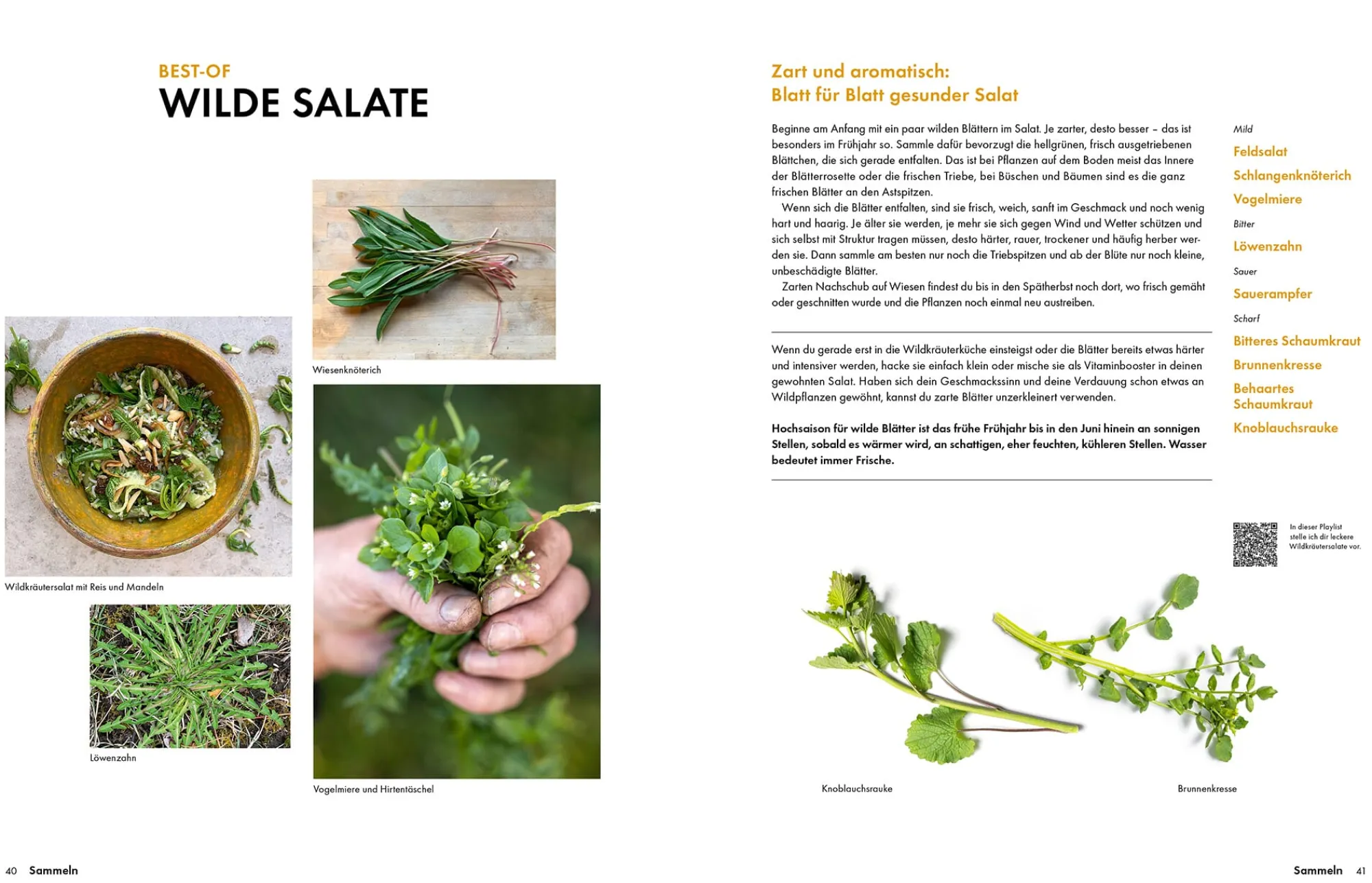 Garten & Natur|Kochen & Backen * Becker Joest Volk Verlag Wildkräuter