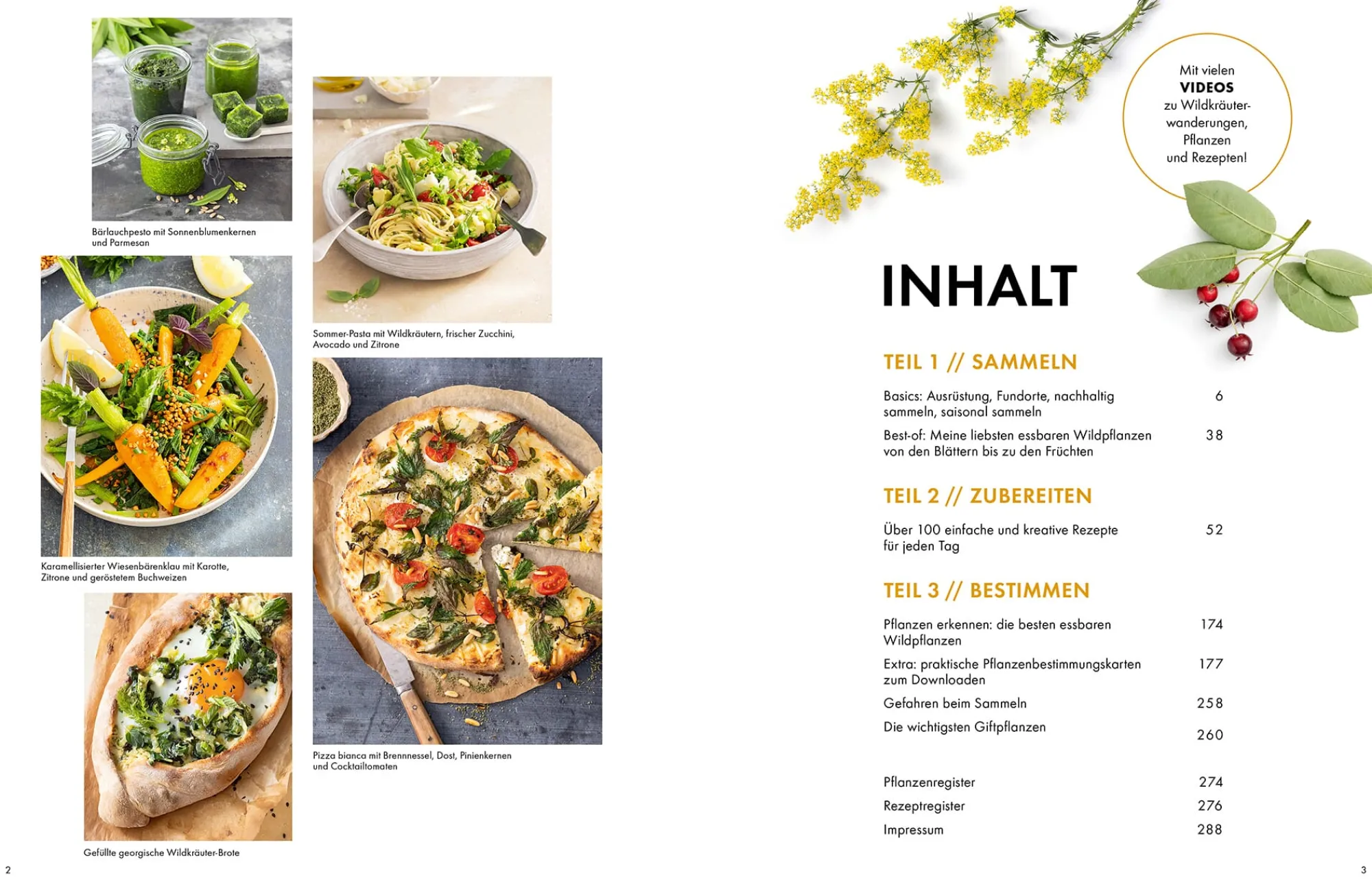 Garten & Natur|Kochen & Backen * Becker Joest Volk Verlag Wildkräuter