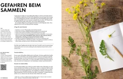 Garten & Natur|Kochen & Backen * Becker Joest Volk Verlag Wildkräuter