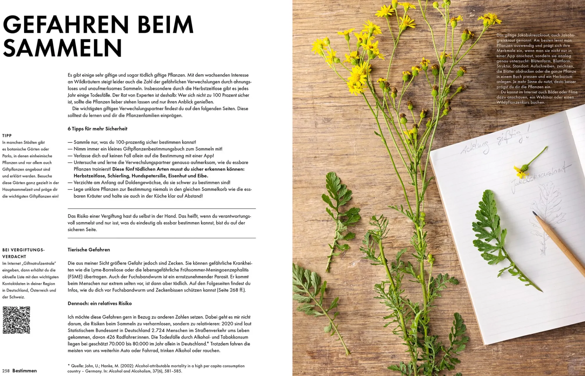 Garten & Natur|Kochen & Backen * Becker Joest Volk Verlag Wildkräuter