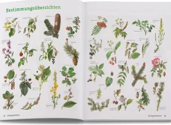 Garten & Natur|Ratgeber * BLV Buchverlag Wildpflanzen neu entdecken