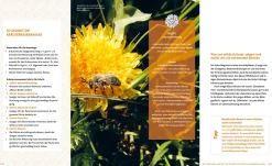Garten & Natur|Ratgeber * Löwenzahn Verlag Wo die wilden Nützlinge wohnen
