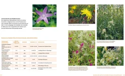 Garten & Natur|Ratgeber * Löwenzahn Verlag Wo die wilden Nützlinge wohnen