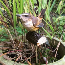 Gartendekoration * Wildlife Garden Zaunkönig Lindenholz handgeschnitzt