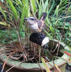 Gartendekoration * Wildlife Garden Zaunkönig Lindenholz handgeschnitzt