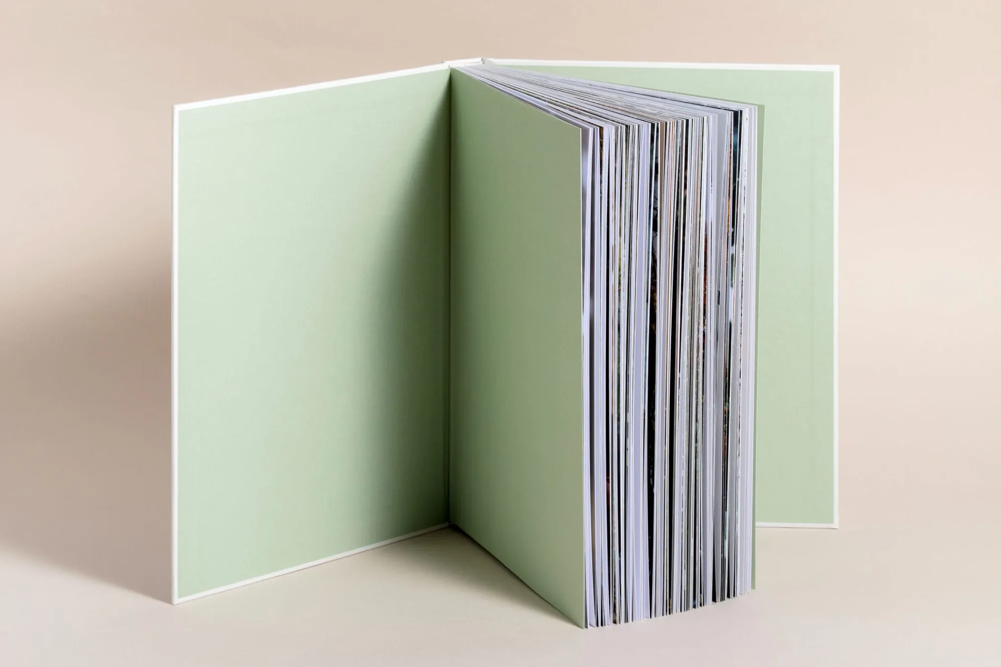 Garten & Natur|Ratgeber * Prestel Verlag Zu den Wiesen