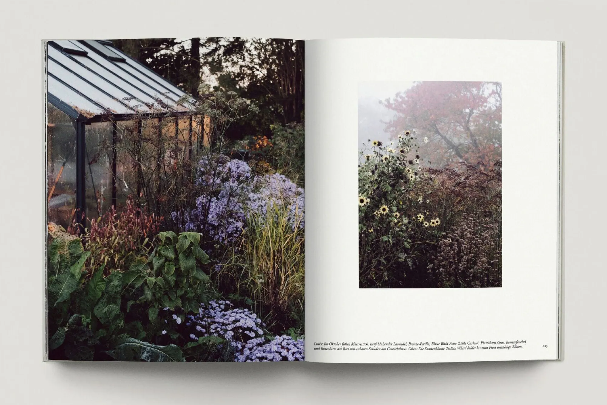 Garten & Natur|Ratgeber * Prestel Verlag Zu den Wiesen