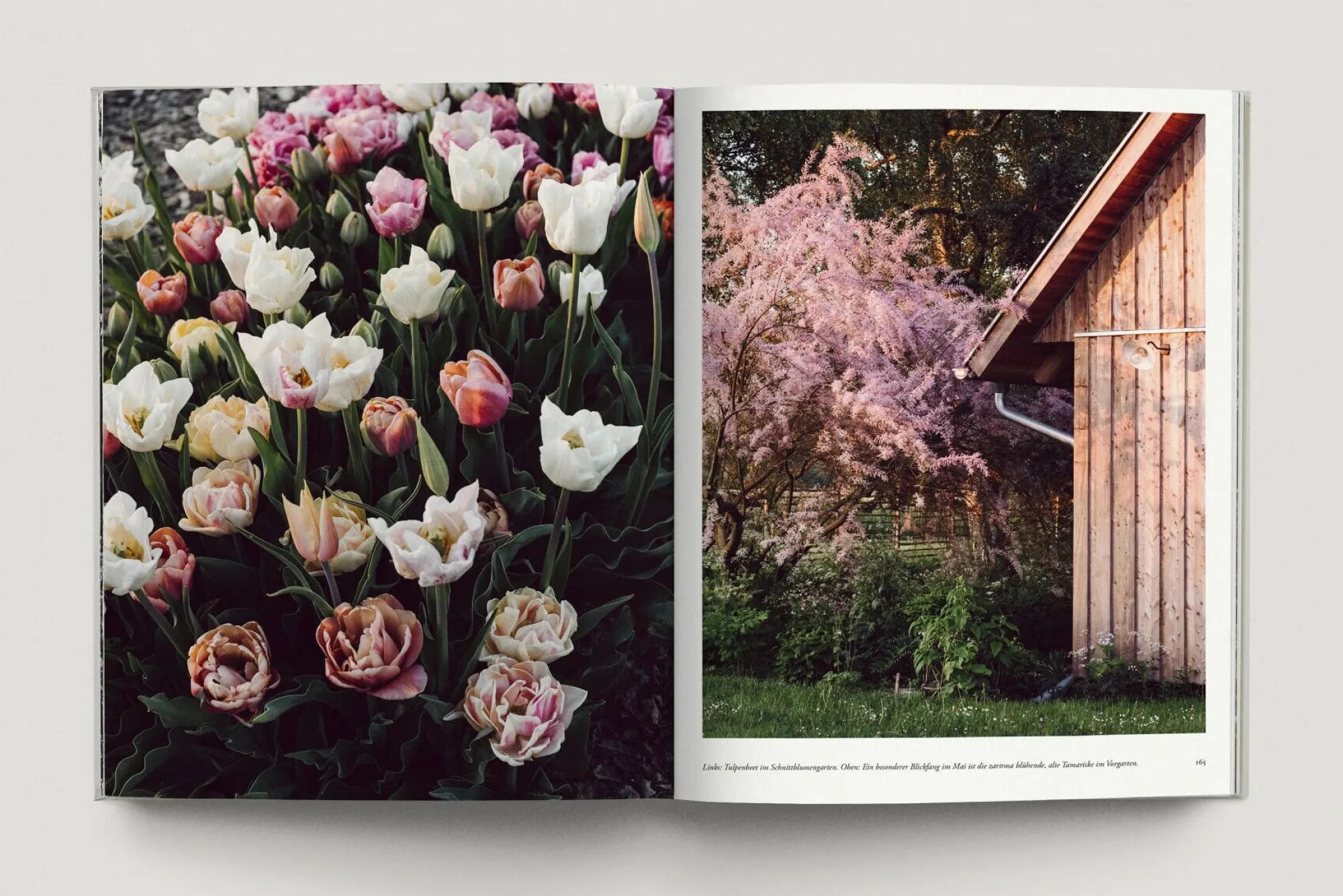 Garten & Natur|Ratgeber * Prestel Verlag Zu den Wiesen