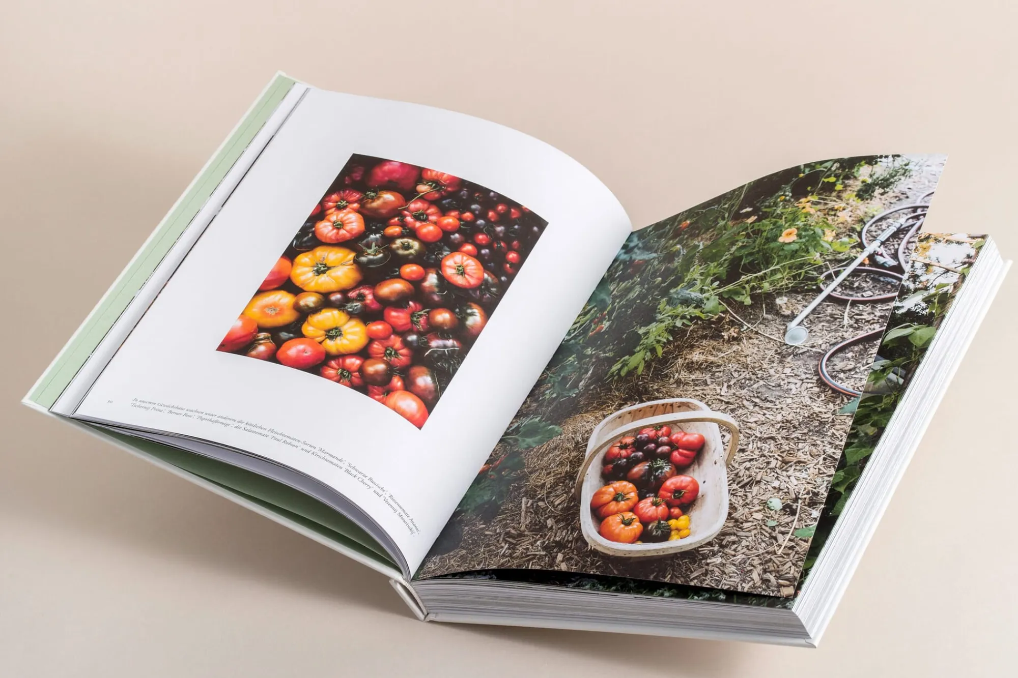 Garten & Natur|Ratgeber * Prestel Verlag Zu den Wiesen